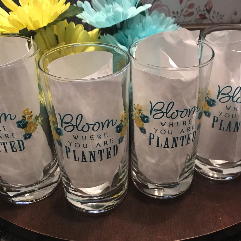 Bloom Where You Are Planted/Bicycle 16.3oz Glasses